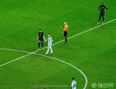 kaiyun网页版-大坂直美混血